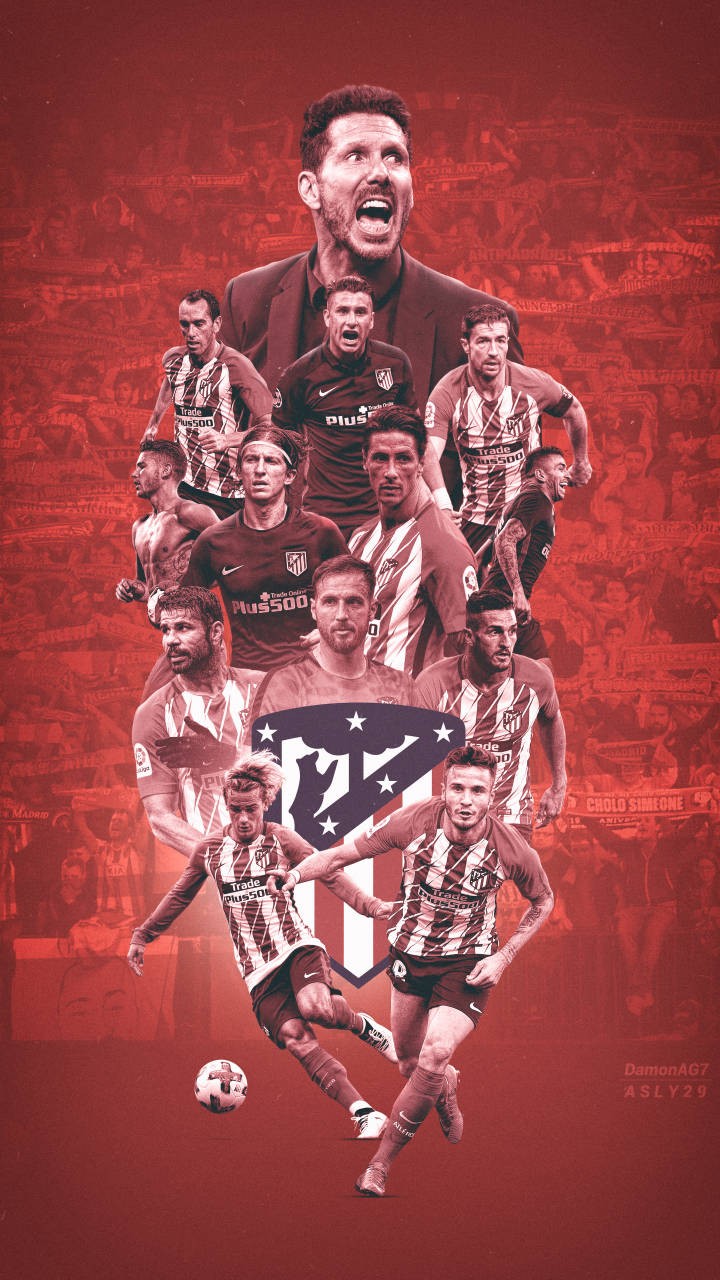 本地番种门 本地番种门